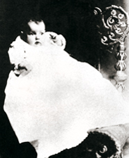 The Merry Widow